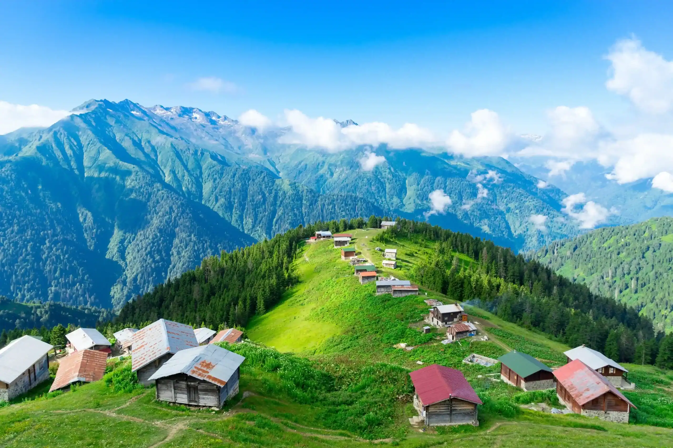 Rize Tatil Rehberi: Meona Villa çevresindeki Karadeniz yaylaları ve doğa manzarası.