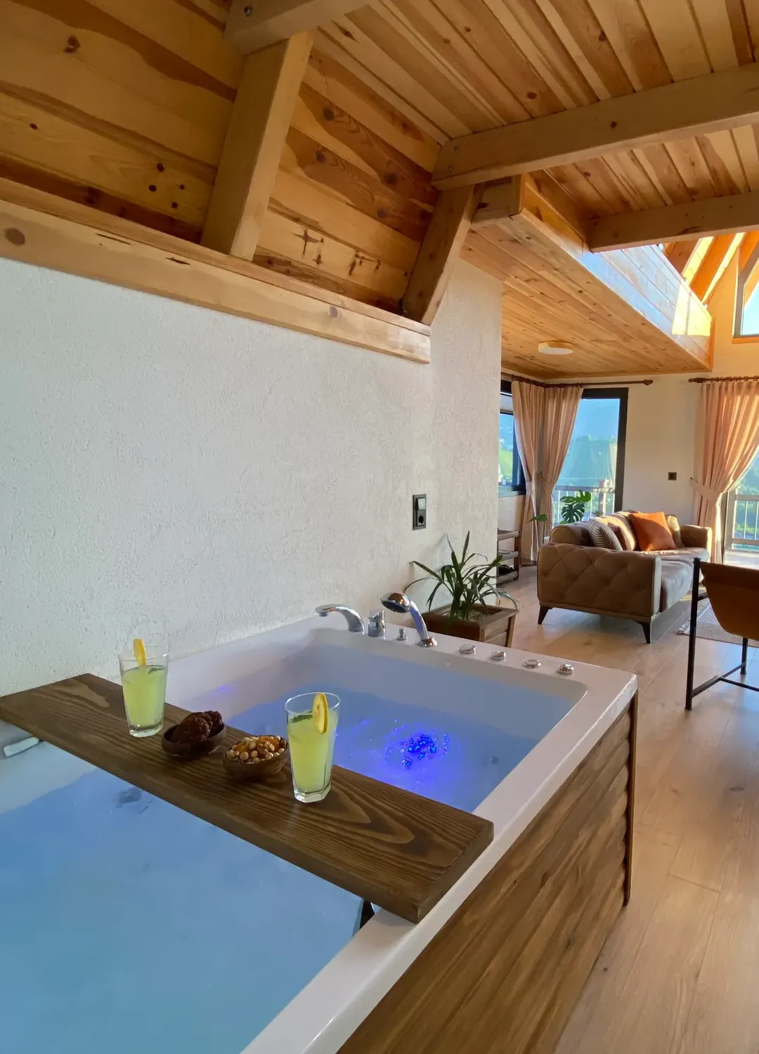 Meona Private Villa salonundaki hidromasajlı jakuzi